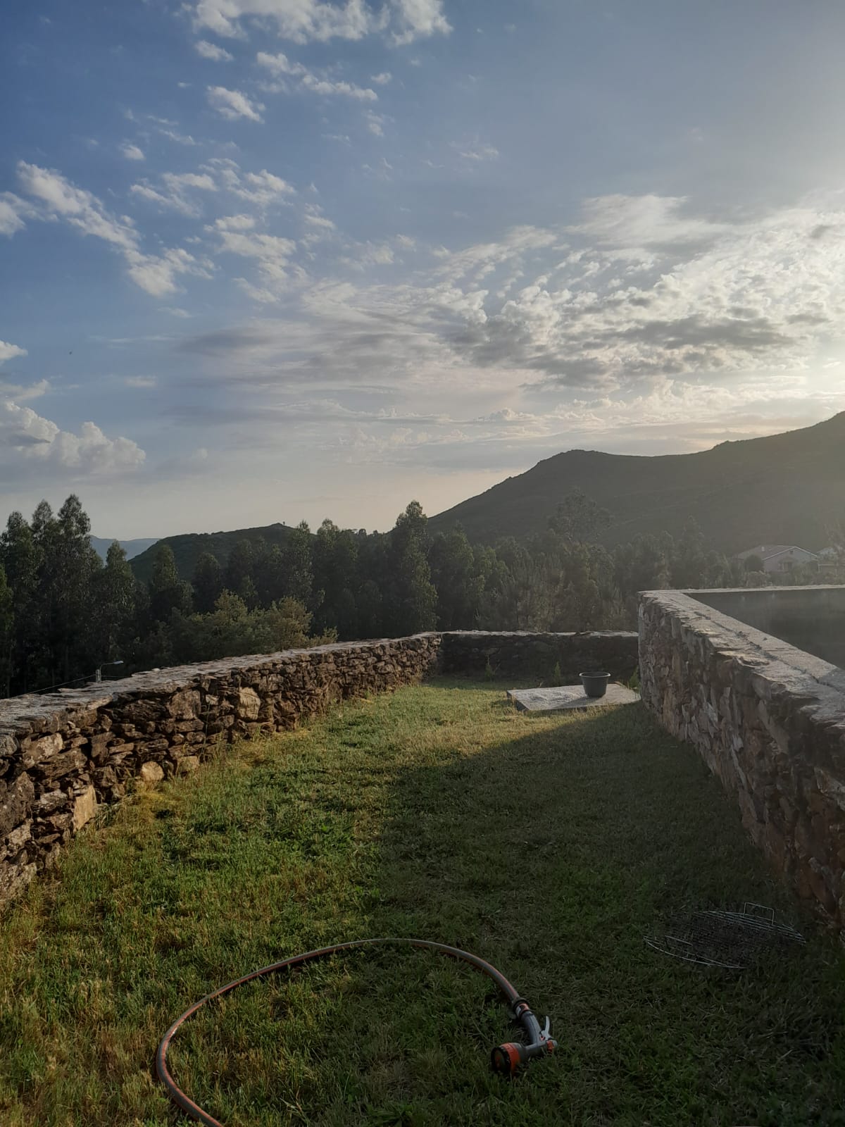Jardim da casa
